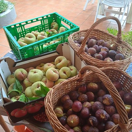 Locanda Dell'Amicizia Секчето Екстер'єр фото